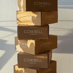 Cowbell 6 pack boxes