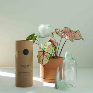 self watering plant kits Cowbell Mini Self-Watering Plant Care Kit (250mL)