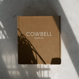 Cowbell 1 pack Gift Box packaging