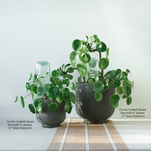plant watering systems indoor Cowbell Self-Watering Plant Care Kit (750mL)
